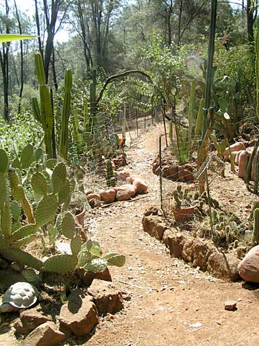 Image of the south view of the Garden of Unearthly Delights